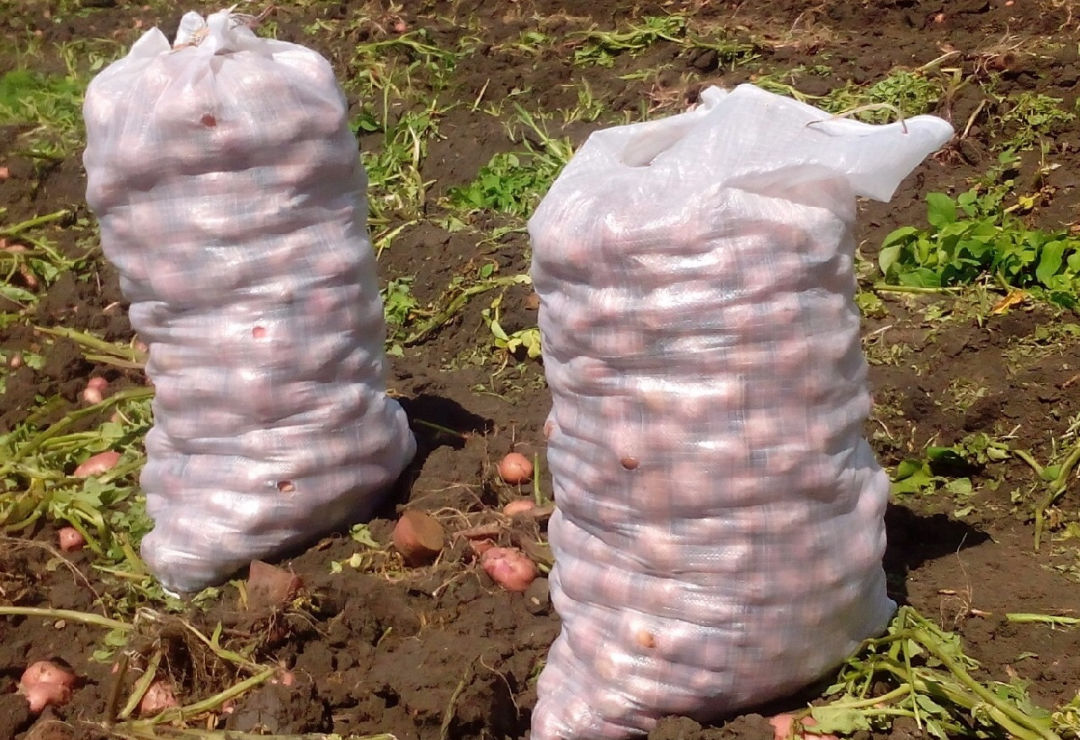 Мешки полипропиленовые 25 и 50 кг под картофель